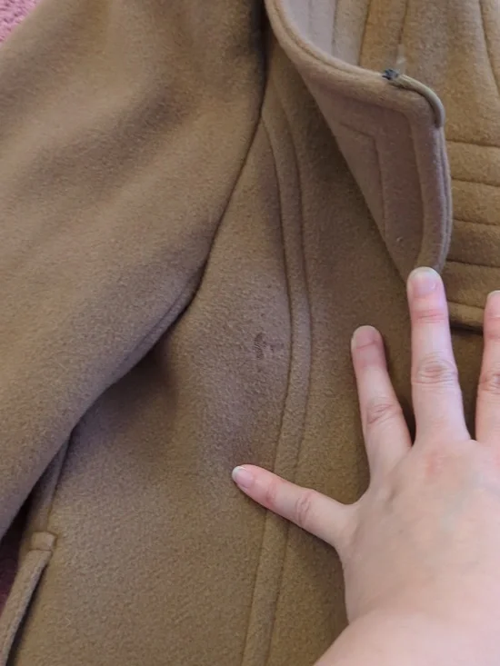 Babaton Coat - Picture 3 of 8